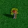 TreeHouseH2