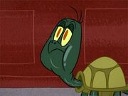 Chesterturtleton