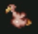 Bébé-vautour