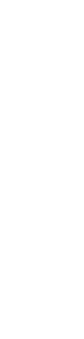 Halloween Wiki background