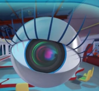 Oog