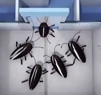 Kak-0