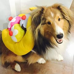 EmuCyrus