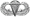 US Army Airborne basic parachutist badge