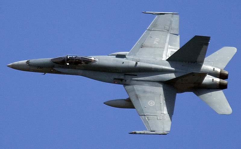 McDonnell Douglas F A 18 Hornet Military Wiki FANDOM Powered By Wikia