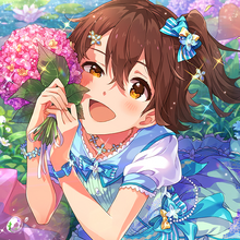 3rd Million Fes The Idolm Ster Million Live Wiki Fandom