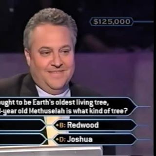 Kevin Lipton | Who Wants To Be A Millionaire Wiki | Fandom