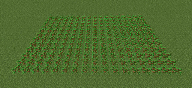 File:Oakfarmsaplings.jpeg