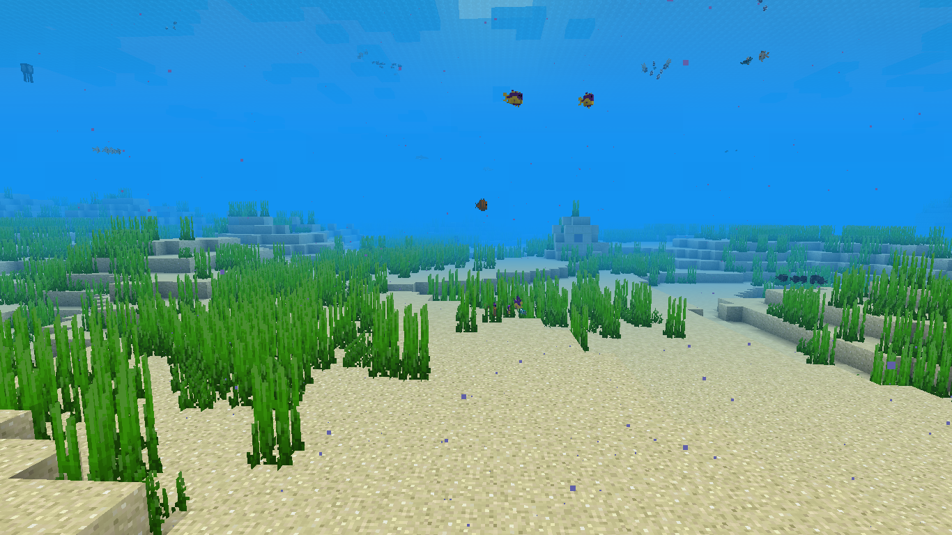 Deep Warm Ocean Minecraft Biomes Wiki FANDOM Powered By Wikia   Latest