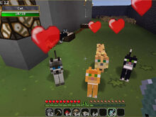Tame-an-Ocelot-in-Minecraft-Step-13-Version-2