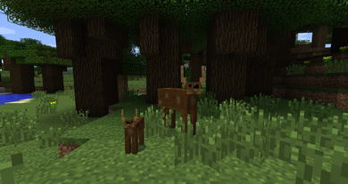 Deer  Minecraft Mobs Wiki  FANDOM powered by Wikia