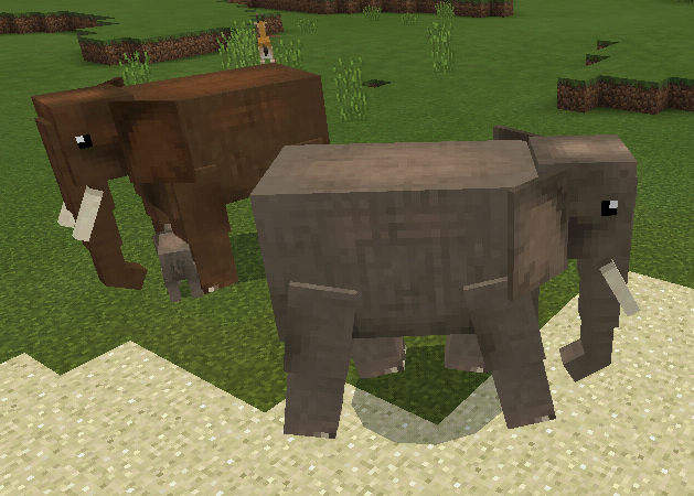 Elephant (Wildlife Savanna) Minecraft Mobs Wiki FANDOM Elephant (Wildlife Savanna) Minecraft Mobs Wiki FANDOM