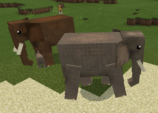 Elephant (Wildlife Savanna)  Minecraft Mobs Wiki  FANDOM 