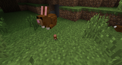 Bunny  Minecraft Mobs Wiki  FANDOM powered by Wikia