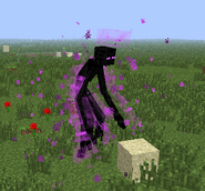 Mutant Enderman  Minecraft Mods Wiki  FANDOM powered by 