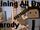 Category:Songs  Minecraft Music Wiki  FANDOM powered by 