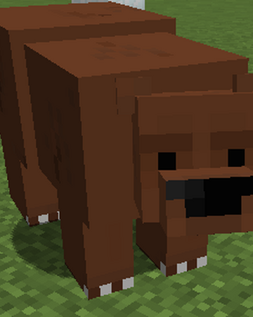 Bear Minecraft The World Of Adventure Update Wiki Fandom
