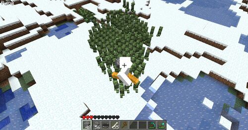 200 creepers