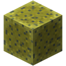 Sponge Minecraft Wiki Fandom