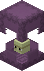 Shulker
