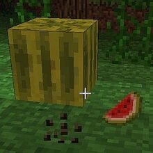 Melon Minecraft Wiki Fandom Melon Minecraft Wiki Fandom