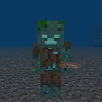 Nautilus Shell Minecraft Wiki Fandom