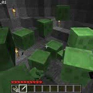 Slime Gallery Minecraft Wiki Fandom