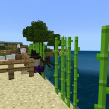 Sugar Cane Minecraft Wiki Fandom