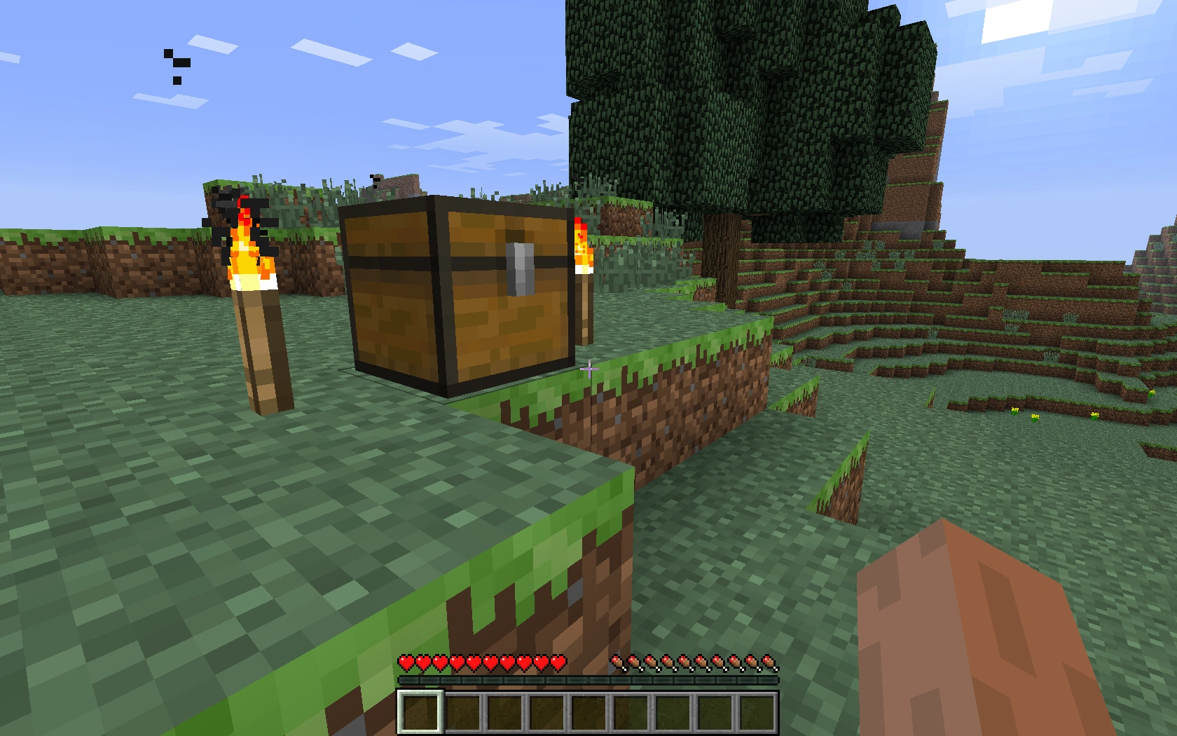 Chest Minecraft Wiki FANDOM powered by Wikia