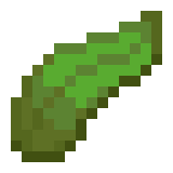 Kelp | Minecraft Wiki | Fandom