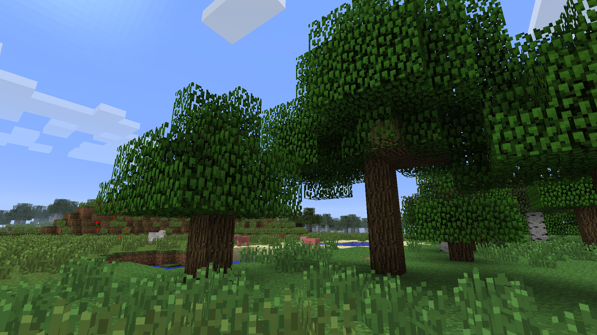 tree-gallery-minecraft-wiki-fandom-powered-by-wikia