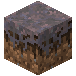 Mycelium