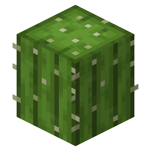 Cactus | Minecraft Wiki | Fandom