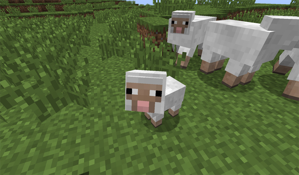 Image result for minecraft sheep