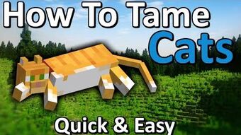 Cat Minecraft Wiki Fandom