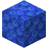 CoralBlocks