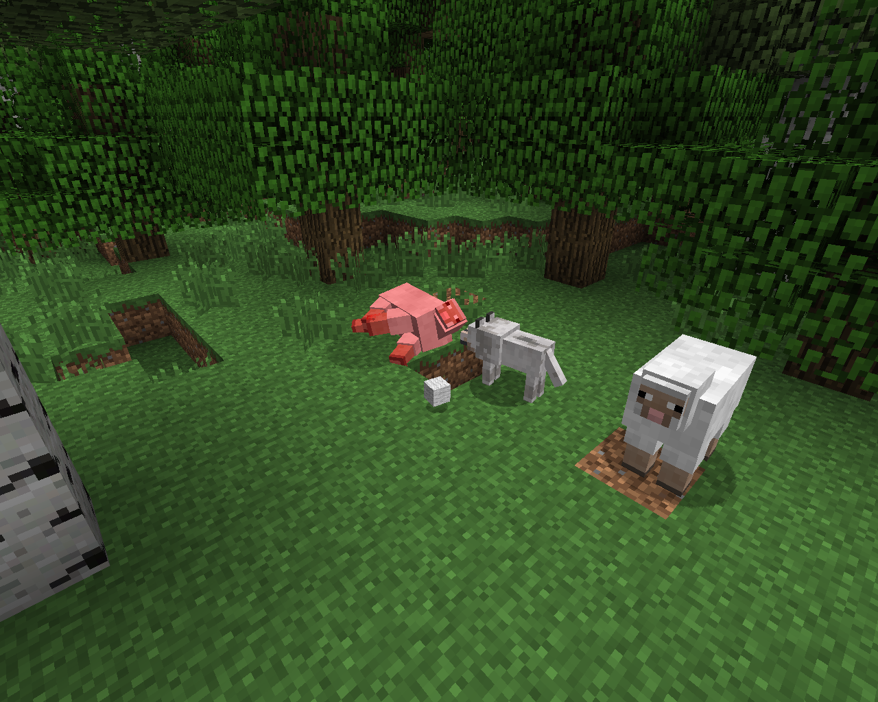 Zwierzęta Lasów Równikowych Kategoria:Zwierzęta | Minecraft Wiki | FANDOM powered by Wikia