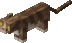 CatsNew