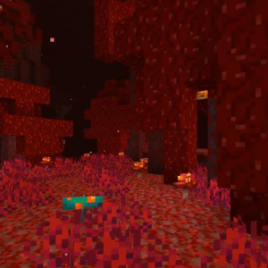 1 16 Nether Update Gallery Minecraft Wiki Fandom
