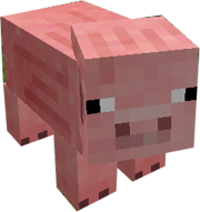 Pig  Minecraft Wiki  FANDOM powered by Wikia