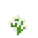 Houstonia