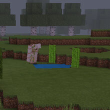 Iron Golem Minecraft Wiki Fandom
