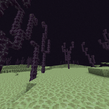 Chorus Plant Minecraft Wiki Fandom