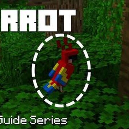 Parrot Minecraft Wiki Fandom