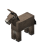 DonkeyNew