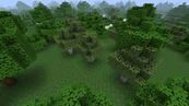 The Overworld