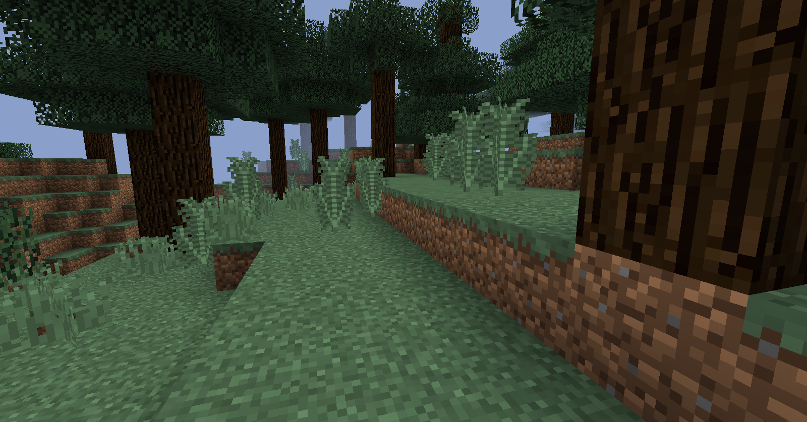 Program Do Szukania Biomów W Minecraft Biom | Minecraft Wiki | Fandom