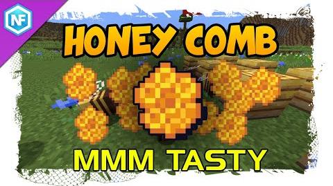  Honeycomb Minecraft Wiki Fandom