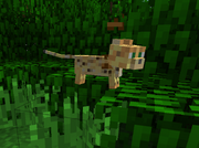 Ocelot cria
