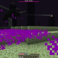 Lingering Potions Minecraft Wiki Fandom